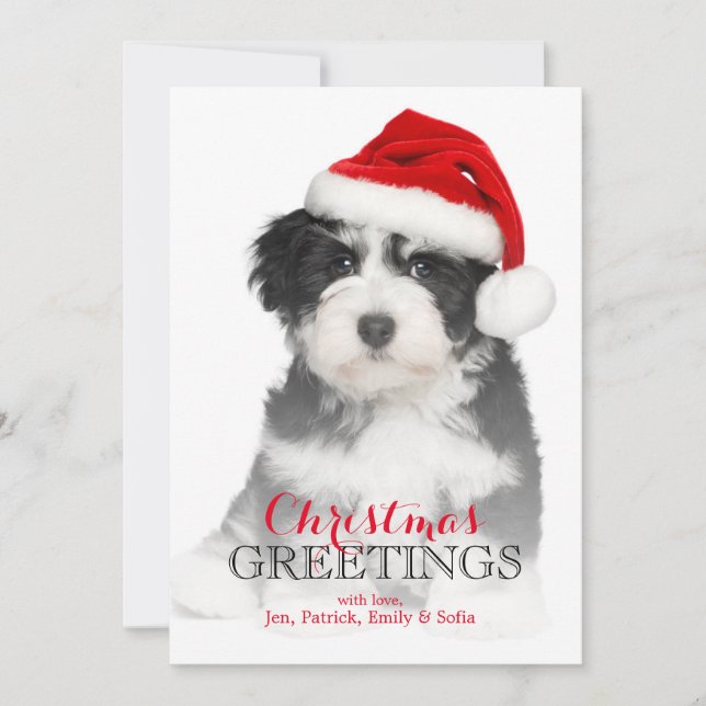 Cartes Pour Fêtes Annuelles Puppy dog (Devant)