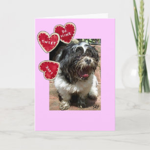 Cartes Pour Fêtes Annuelles Puppy Love par SRF