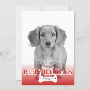 Cartes Pour Fêtes Annuelles Puppy vacances os motif animal de compagnie photo 