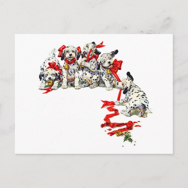 Cartes Pour Fêtes Annuelles Pups dalmate de vacances (Devant)