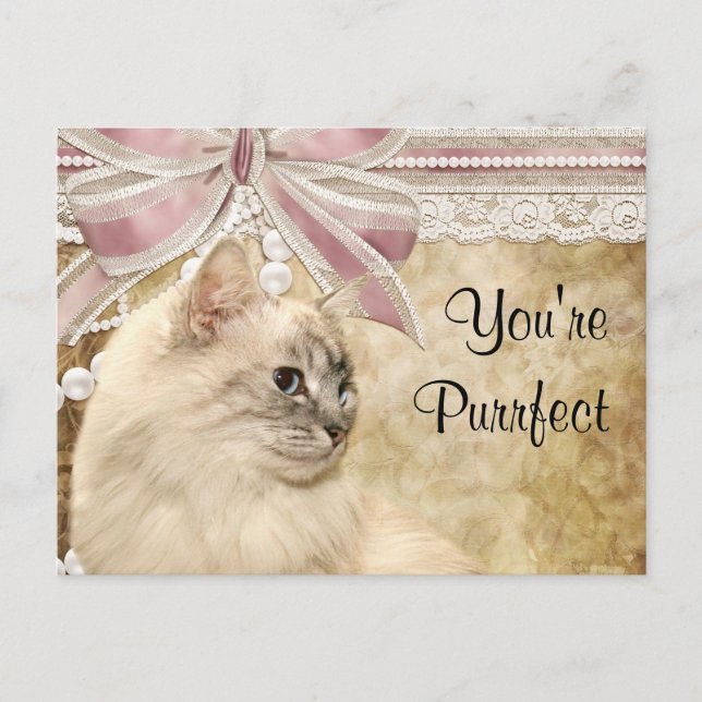 Cartes Pour Fêtes Annuelles Purrfect kitty valentine (Devant)