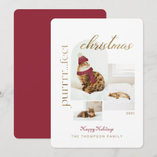 Cartes Pour Fêtes Annuelles Purrrr..fect Noël Amusant & Cosy Cat Trois Photo