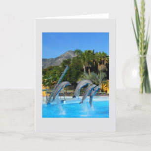Cartes Pour Fêtes Annuelles Quatre dauphins qui sautent