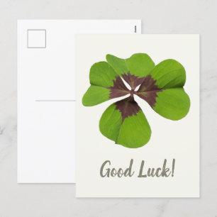 Cartes Pour Fêtes Annuelles Quatre feuilles Lucratif Jour de la Saint Patrick 