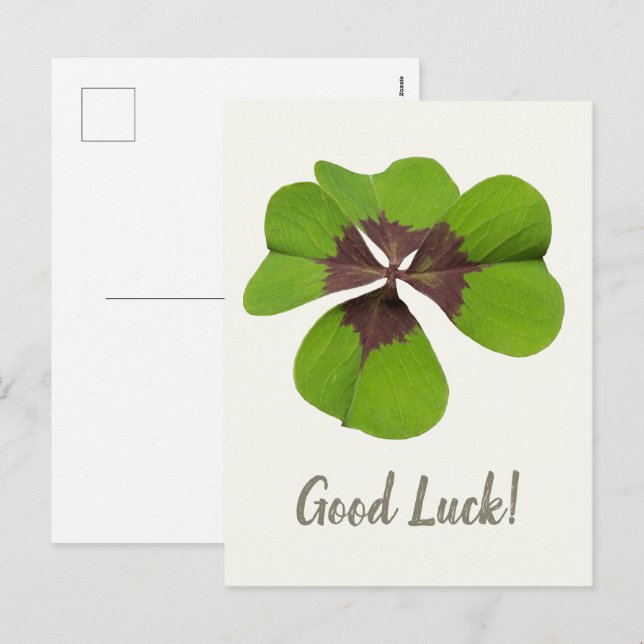 Cartes Pour Fêtes Annuelles Quatre feuilles Lucratif Jour de la Saint Patrick  (Devant / Derrière)