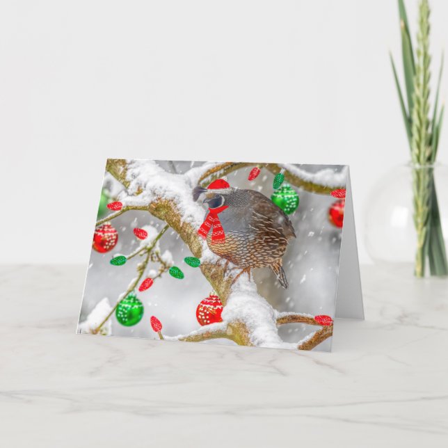 Cartes Pour Fêtes Annuelles Queue de Noël (Devant)