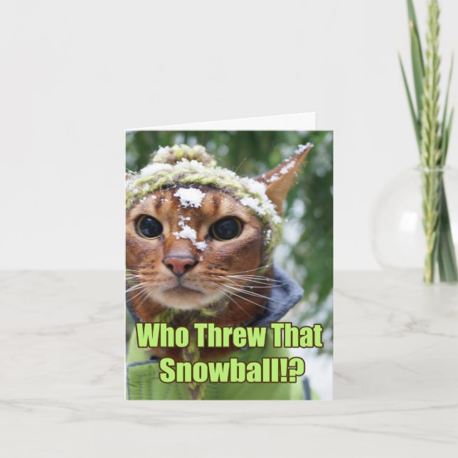 Cartes Pour Fêtes Annuelles Qui a jeté ce Snowball ! ? (Devant)