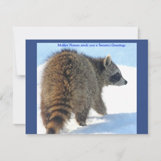 Cartes Pour Fêtes Annuelles Raccoon dans la neige des fêtes (Devant)