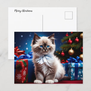 Cartes Pour Fêtes Annuelles Ragdoll Kitten cadeau de Noël
