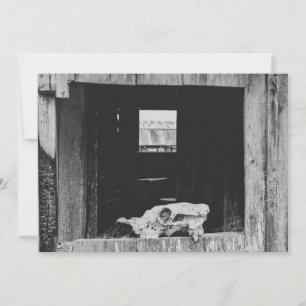 Cartes Pour Fêtes Annuelles ranch de bétail