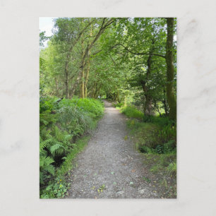 Cartes Pour Fêtes Annuelles Randonnée à travers Woods sur l'île de Bute en Éco