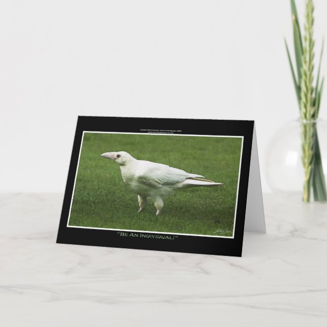 CARTES POUR FÊTES ANNUELLES RAVEN BLANC (Devant)