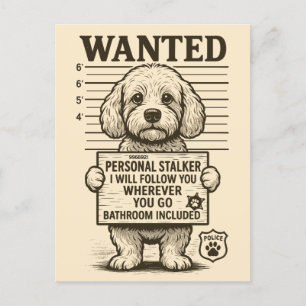 Cartes Pour Fêtes Annuelles Recherché Funny Chien Personal Stalker