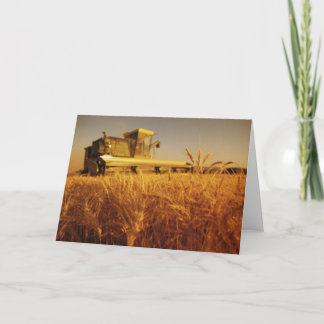 Cartes Pour Fêtes Annuelles Récompenser