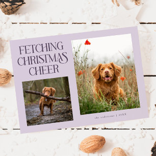 Cartes Pour Fêtes Annuelles Récupération de la Joie de Noël Photo de Chien Vio