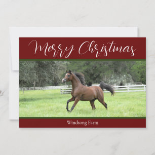 Cartes Pour Fêtes Annuelles Red Arabian Horse 1 Photo Pour Noël À La Ferme