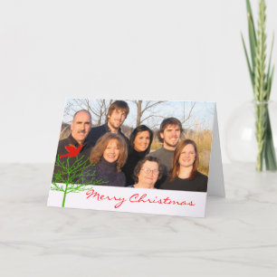 Cartes Pour Fêtes Annuelles Red Christmas Bird Green Tree Votre photo