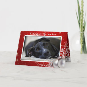 Cartes Pour Fêtes Annuelles Red Christmas Family Pet Photo Grey