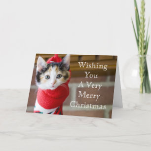 Cartes Pour Fêtes Annuelles Red Christmas Kitten