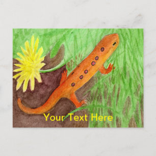 Cartes Pour Fêtes Annuelles Red Eft Eastern Newt