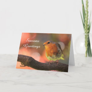 Cartes Pour Fêtes Annuelles Red Robin Seasons Salutation