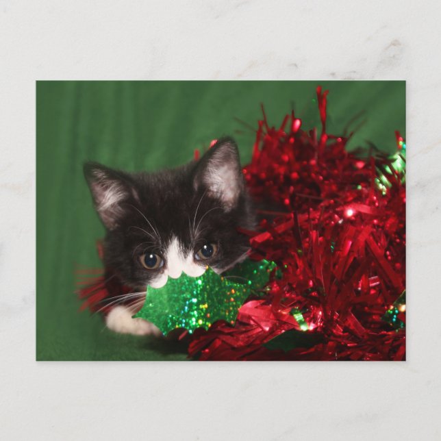 Cartes Pour Fêtes Annuelles Regards pour Père Noël (Devant)