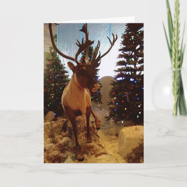 CARTES POUR FÊTES ANNUELLES "RÉINDEUR À L'ATELIER DE PÈRE NOËL" (Devant)
