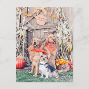 Cartes Pour Fêtes Annuelles Remerciez les chiens mignons et la récolte de Than