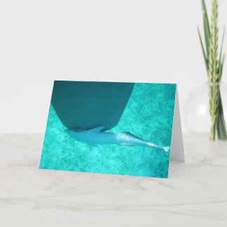 Cartes Pour Fêtes Annuelles Remora de Sharksucker