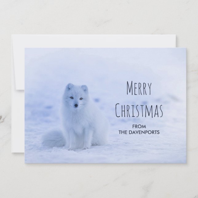 Cartes Pour Fêtes Annuelles Renard arctique mignon sur fond enneigé d'hiver (Devant)