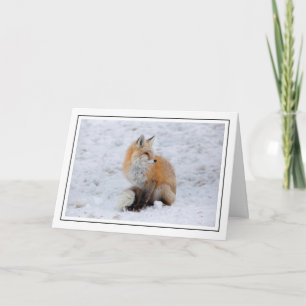 Cartes Pour Fêtes Annuelles Renard cascade en neige
