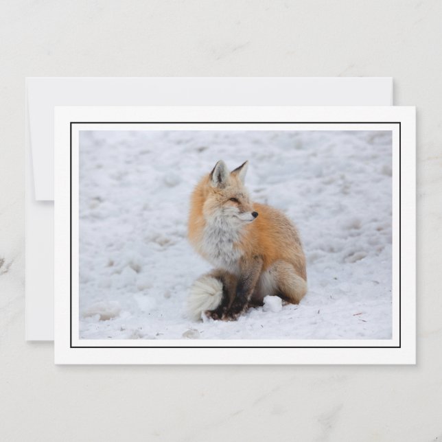 Cartes Pour Fêtes Annuelles Renard cascade en neige (Devant)
