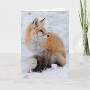 Cartes Pour Fêtes Annuelles Renard cascade en neige