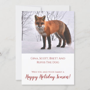 Cartes Pour Fêtes Annuelles Renard dans la nature de neige Noël