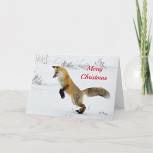 Cartes Pour Fêtes Annuelles Renard Leaping Snow Photo Noël
