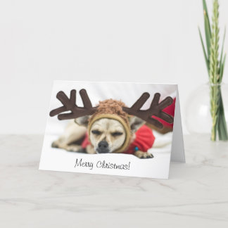 Cartes Pour Fêtes Annuelles Renne de chiwawa de Joyeux Noël