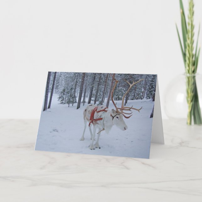 Cartes Pour Fêtes Annuelles Rennes joyeux (Devant)