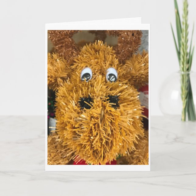 CARTES POUR FÊTES ANNUELLES **RENNES RIDICULES** À "FAMILLE ET AMIS" (Devant)