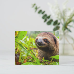 Cartes Pour Fêtes Annuelles Repose fine