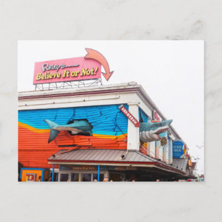 Cartes Pour Fêtes Annuelles Requin dans Ocean city, Maryland, États-Unis
