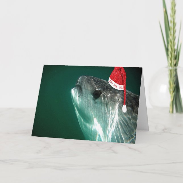 Cartes Pour Fêtes Annuelles Requin de baleine de HoHoHo (Devant)