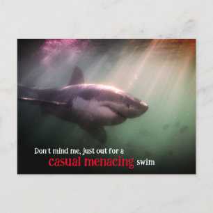 Cartes Pour Fêtes Annuelles requin pointeur blanc sous l'eau