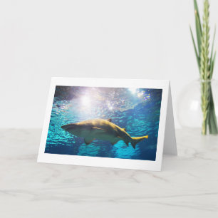 Cartes Pour Fêtes Annuelles requin-tigre de sable