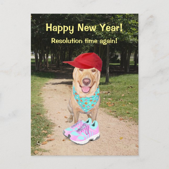 Cartes Pour Fêtes Annuelles Résolution drôle personnalisable de nouvelle année (Devant)