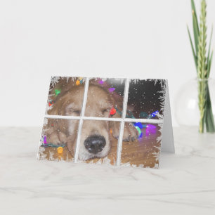 Cartes Pour Fêtes Annuelles Retrait d'or de Noël avec lumières