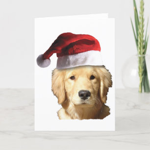 Cartes Pour Fêtes Annuelles Retriers d'or de Noël