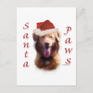 Cartes Pour Fêtes Annuelles Retrieur de canard de la Nouvelle-Écosse Père Noël