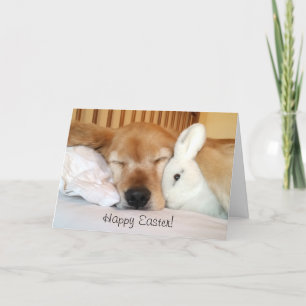 Cartes Pour Fêtes Annuelles Retriever Dormant En Or Avec Bunny Pâques Blanc
