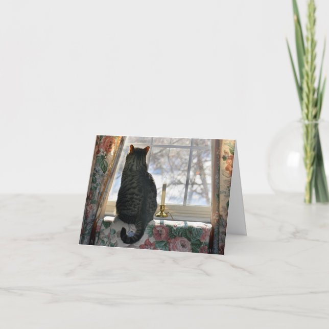 Cartes Pour Fêtes Annuelles Rêver de Noël blanc - chat à la fenêtre (Devant)