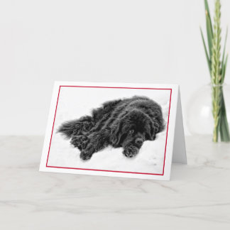 Cartes Pour Fêtes Annuelles Rêves d'hiver